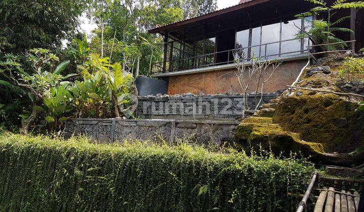 Rumah Joglo Besar Dengan Tanah Super Luas Di Pakem Dekat Jl Palagan Rumah Joglo Besar Dengan Tanah Super Luas Di Pakem Dekat Jl Palagan