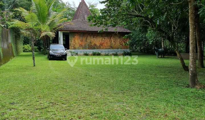 Rumah Joglo Besar Dengan Tanah Super Luas Di Pakem Dekat Jl Palagan Rumah Joglo Besar Dengan Tanah Super Luas Di Pakem Dekat Jl Palagan