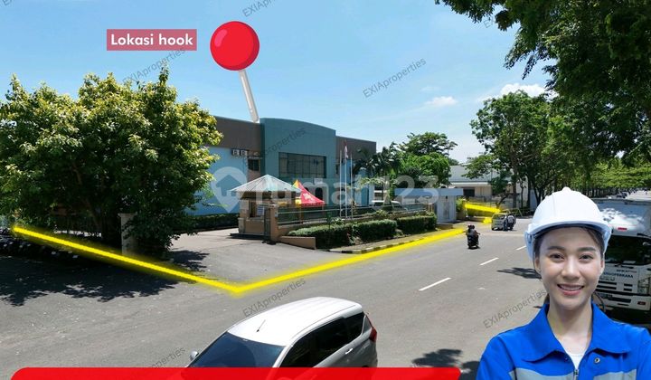 Manufacturing Factory Position Hook Panbil Industry Attractive Price