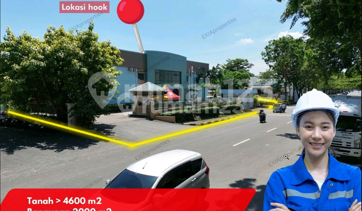 Manufacturing Factory Position Hook Panbil Industry Attractive Price