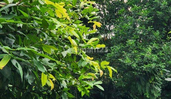 Tanah Bagus Dijual. Nego Sampai Deal
