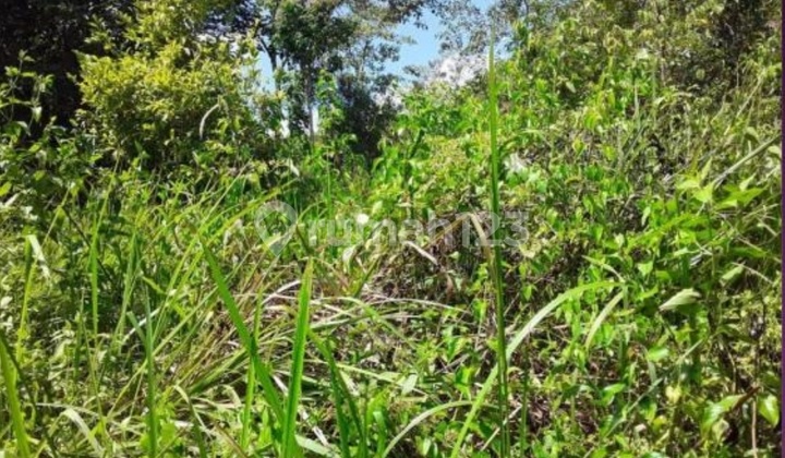 Dijual Tanah Apl. ******** Dijual Tanah Apl. ********