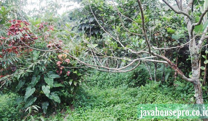 Villa Dan Tanah Luas Harga Jual Murah di Caringin Bogor 4