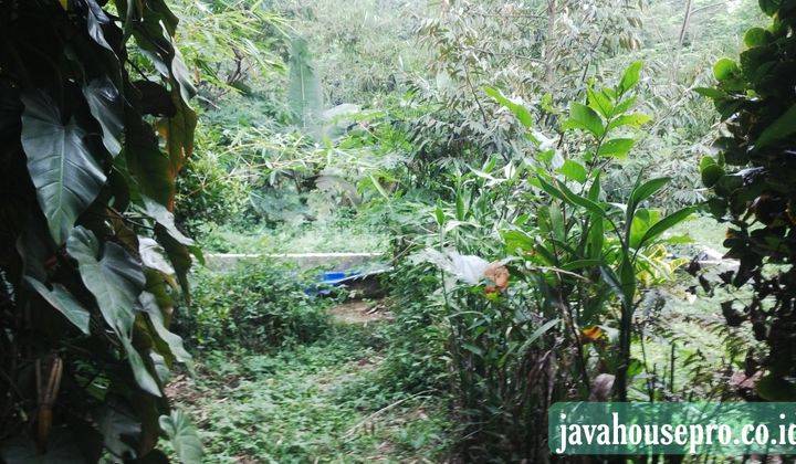 Villa Dan Tanah Luas Harga Jual Murah di Caringin Bogor 6