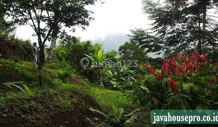Villa Dan Tanah Luas Harga Jual Murah di Caringin Bogor 7