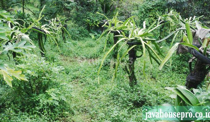 Villa Dan Tanah Luas Harga Jual Murah di Caringin Bogor 8