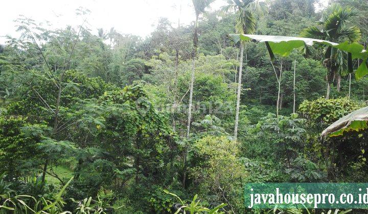 Villa Dan Tanah Luas Harga Jual Murah di Caringin Bogor 9