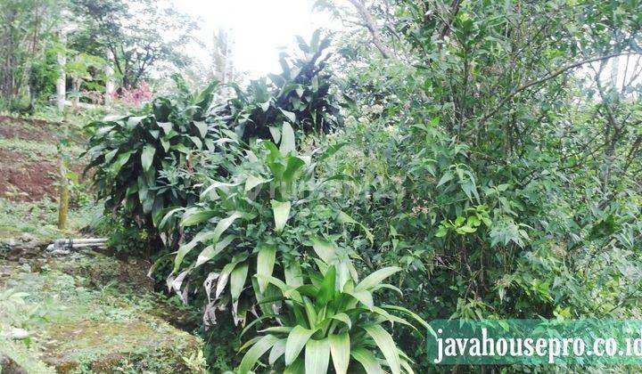 Villa Dan Tanah Luas Harga Jual Murah di Caringin Bogor 15