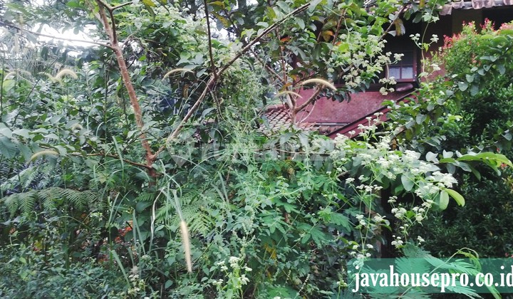 Villa Dan Tanah Luas Harga Jual Murah di Caringin Bogor 16