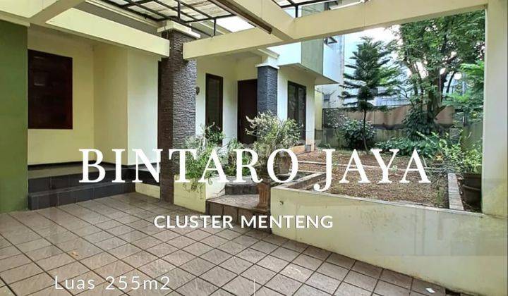 Rumah Modern Minimalis Area Bintaro Jaya Tangerang Selatan 1