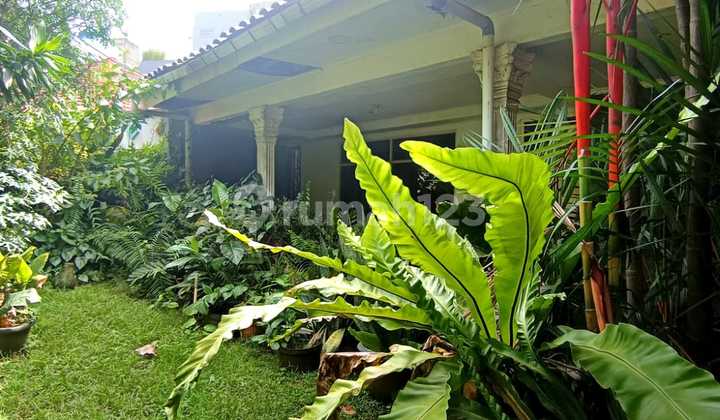 Rumah lama 1,5lantai lokasi dekat scbd sudirman kebayoran baru