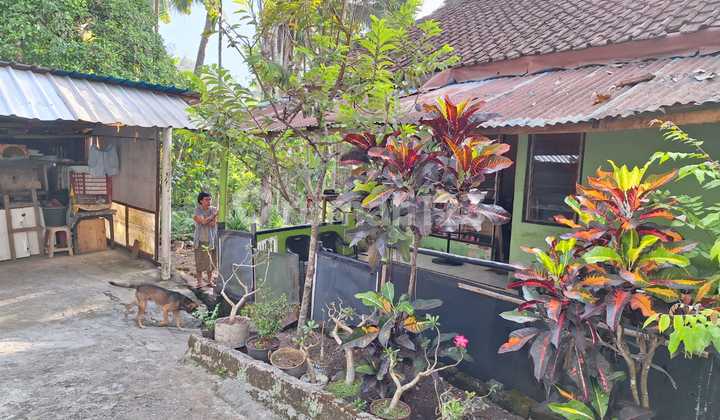 Cheap House and Land in Kerambitan Tabanan Bali