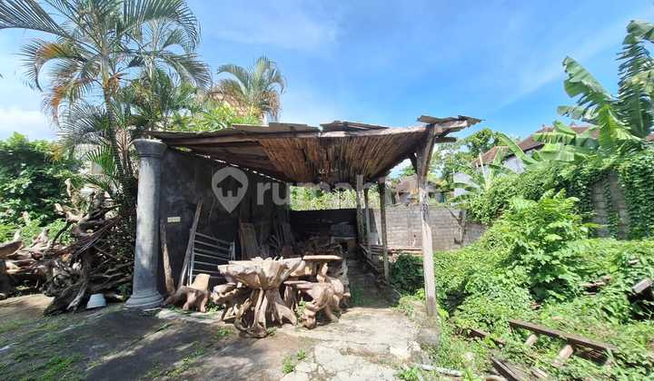 Tanah Jual 180 M² Di Kedampang Kerobokan Cocok Untuk Villa