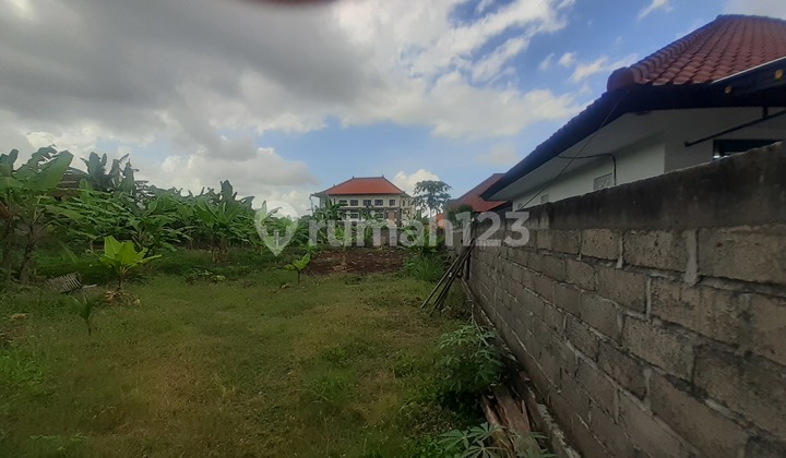 Tanah Sewa area Dalung sangat cocok dibangun Villa atai rumah sewa 3