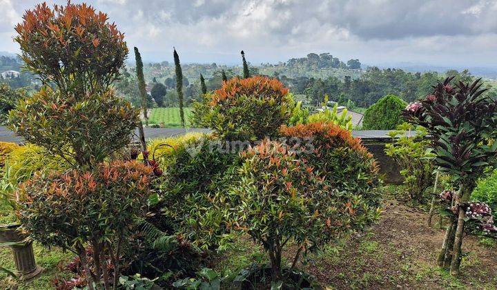 Beautiful Tanah View in the Villa area in Baturiti Tabanan 2