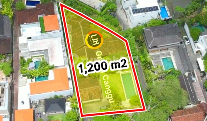 Tanah Bonus Bangunan di Padanglinjong Canggu Bali Tanah Bonus Bangunan di Padanglinjong Canggu Bali