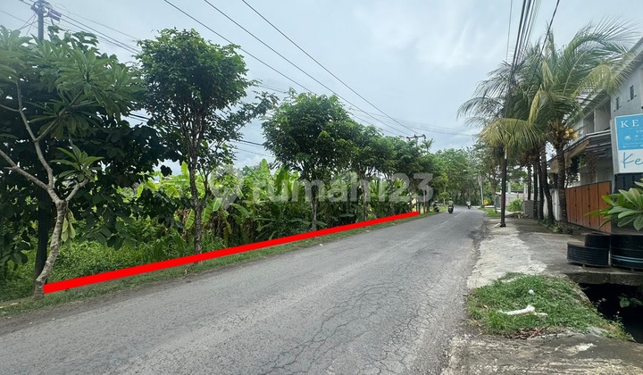 Tanah Jual Lokasi Premium Tumbakbayuh Canggu Tanah Jual Lokasi Premium Tumbakbayuh Canggu