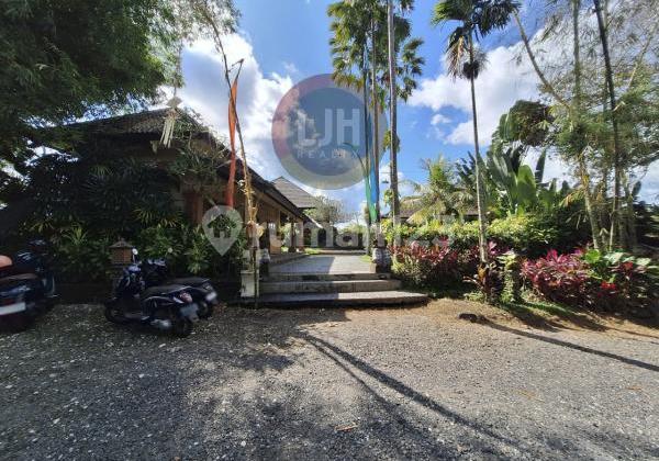 Land for sale at Carangsari, Petang, Badung, strategic location, close to Sangeh Tourism Land for sale at Carangsari, Petang, Badung, strategic location, close to Sangeh Tourism