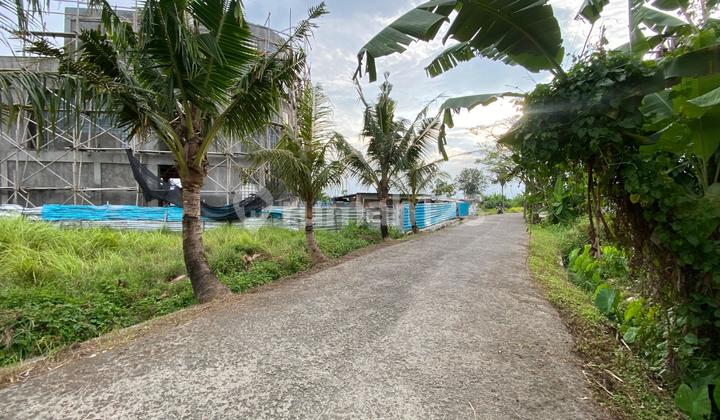 Kedungu Beach Land Tabanan Bali Tourism Area Kedungu Beach Land Tabanan Bali Tourism Area