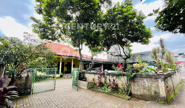 Rumah Betawi Jagakarsa Hijau Dan Asri Dekat Setu Babakan 