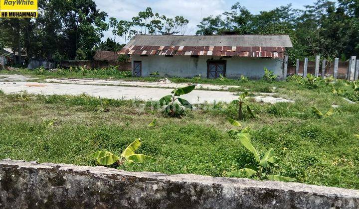 Dijual Cepat Tanah Murah Di Kedung Biro Lumajang Bu Kt 2