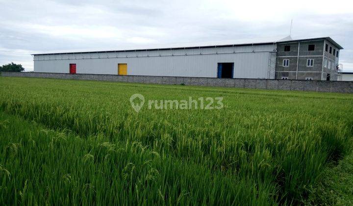 Dijual Bekas Pabrik di Dlanggu Mojokerto T D 1