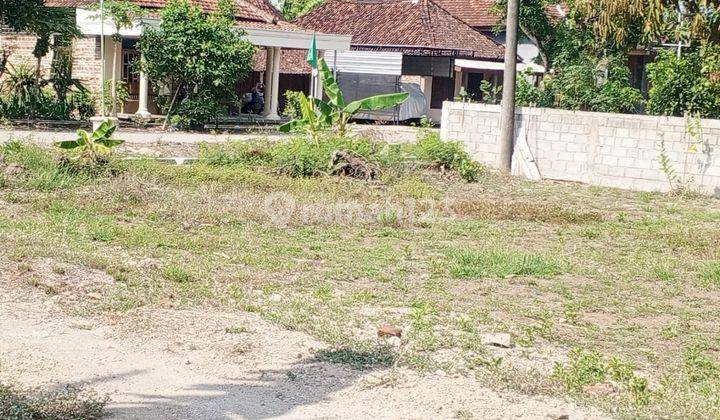 Tanah Murah Ponorogo Erep Jalan Desa  2