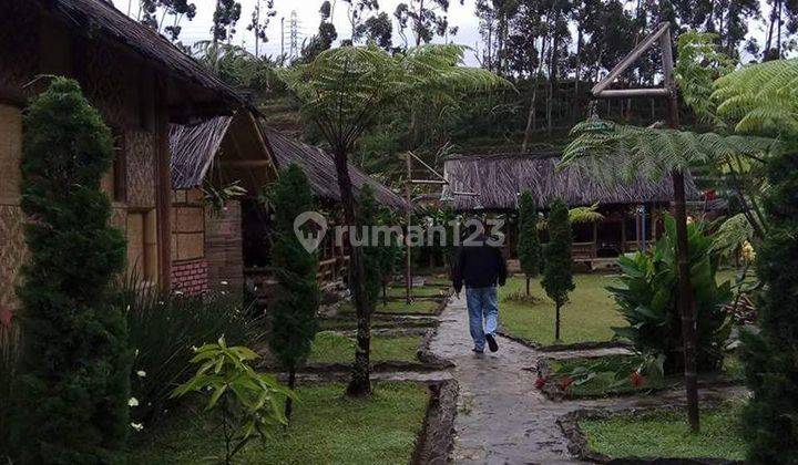 Hotel Dan Resto Aktif di Ciwidey, Bandung Bagus