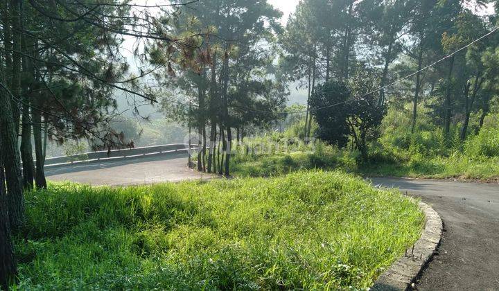 Dijual Tanah Lokasi Strategis Sukanegara Pagerwangi Lembang 2