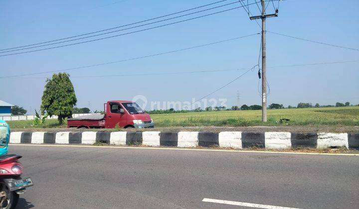 Dijual Tanah Lokasi Strategis di Kapetakan Cirebon 2