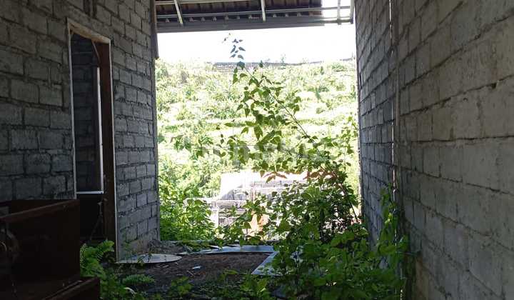 Rumah Baru di Tabanan Bali 290 Jt An