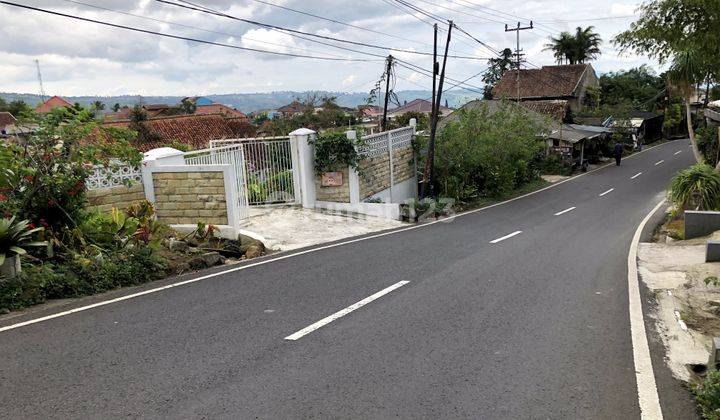 Tanah Menguntungkan Strategis di Jl Kebun Raya Cibodas Puncak  2