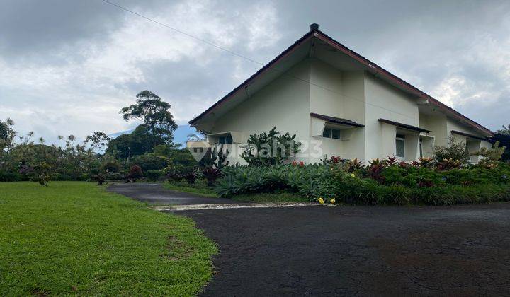 Villa Terawat Murah Di Bawah Njop Hook Di Coolibah Puncak 1