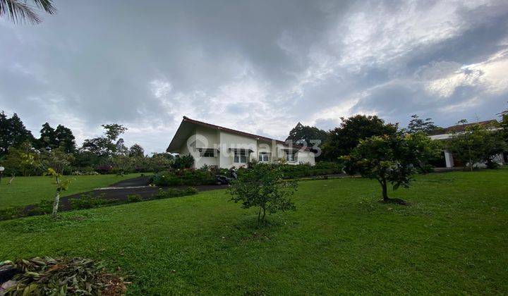 Villa Terawat Murah Di Bawah Njop Hook Di Coolibah Puncak 2