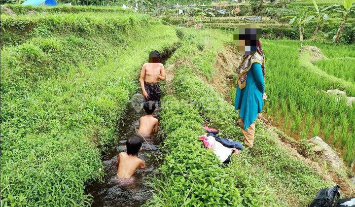 Viral Tanah Murah Di Lokasi Abah Jajang Curug Citambur Cianjur 2