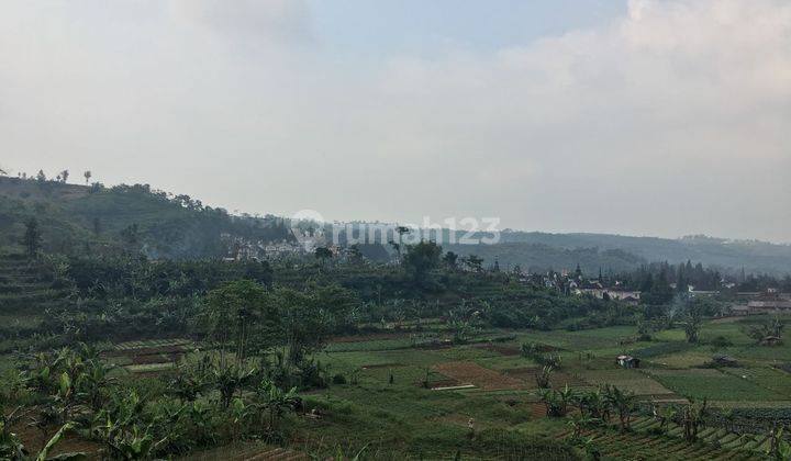 Tanah 110 Ha Di Dekat Kota Bunga Sinarmas Cocok Buat Investasi