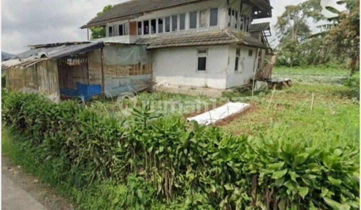 Cepat Villa 1010m2 Menguntungkan Butuh Renovasi Di Cipanas Puncak Cepat Villa 1010m2 Menguntungkan Butuh Renovasi Di Cipanas Puncak