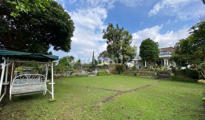 Rumah Belanda Cocok Untuk Usaha/huni Samping Jalan Raya Nasional
