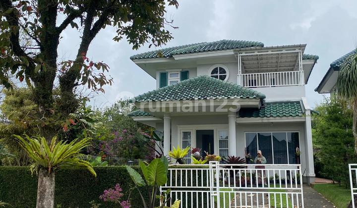 Hot Offer Villa Megah Nyaman Siap Huni Menguntungkan Di Puncak