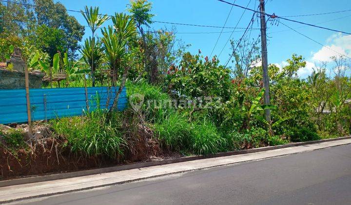 Garden land on Jalan Raya Sepang Singaraja Bali, Buleleng SHM 45,000 m² 2