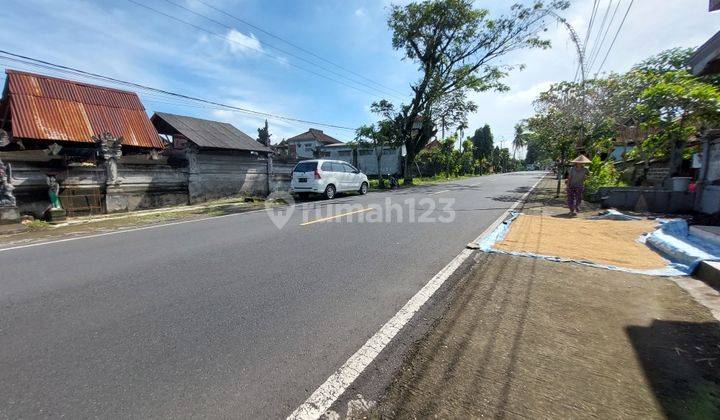 Tanah Sawah Murah Bawah Harga Pasar di Tabanan Bali 2