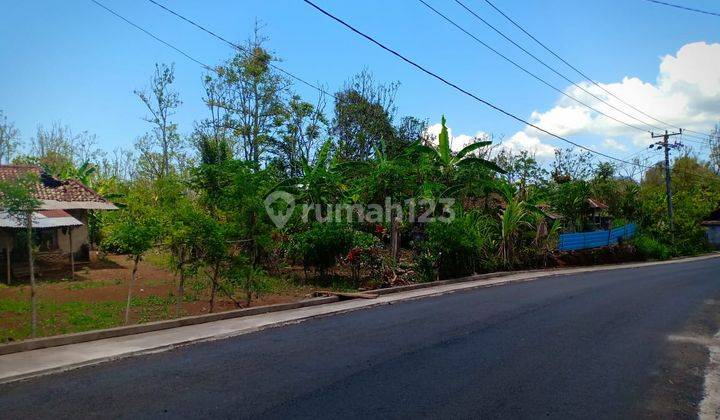 Tanah Kebun SHM Murah Pinggir Jalan Dijual Bu di Bali Utarar 2