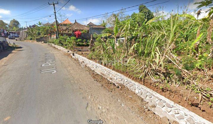 Tanah Kebun SHM Murah Pinggir Jalan Dijual Bu di Bali Utarar 2