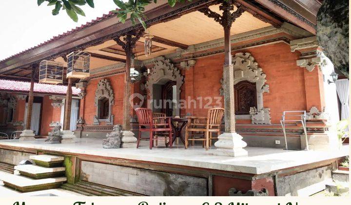 Rumah Bali Furnished Shm Murah Dijual Cepat di Tabanan Bali 1