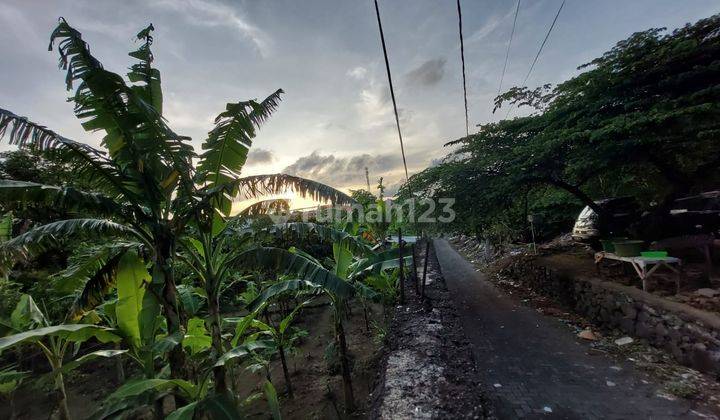 Tanah Murah Renon 1000m2 Shm Jalan Raya Puputan Renon Denpasar 2