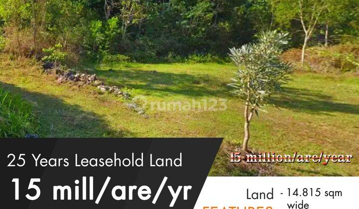 For Sale For Lease Land In Pecatu Tanah 14.815m2 Shm Pecatu Bali 1