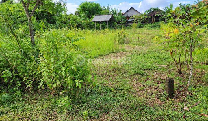 Shm 650m2 land for sale cheaply in Ungasan Bali 2