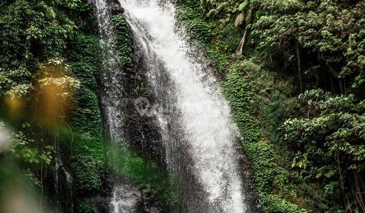 Tanah Wisata Dijual Sangat Murah di Munduk Buleleng 2