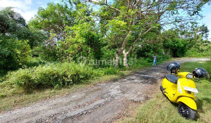 Tanah Murah Bawah Pasar Dijual Cepat Jimbaran Bali 2