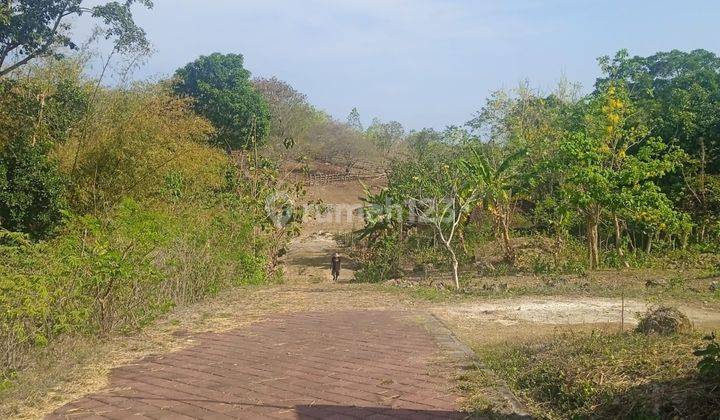 Tanah 2000m2 Shm Murah di Kutuh Ungasan Bali 2